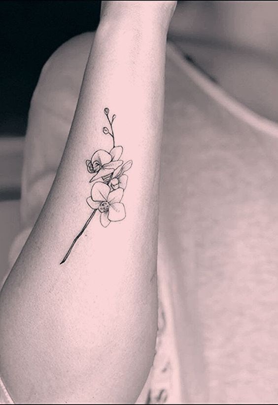 mẫu tattoo hoa lan nhỏ nhắn phù hợp cho bạn nữ mẫu tattoo hoa lan nhỏ nhắn phù hợp cho bạn nữ
