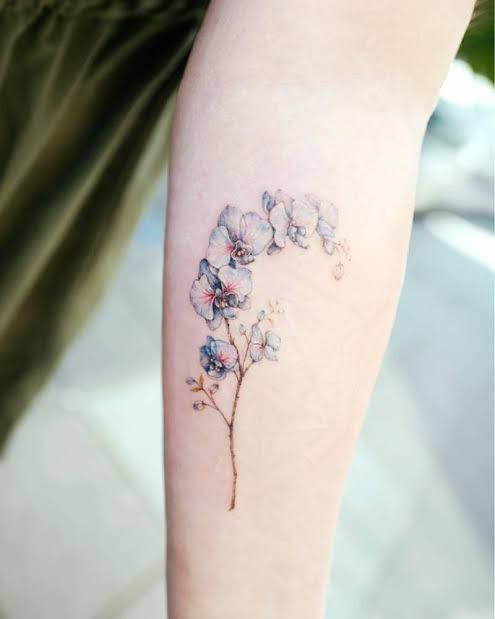 sự đơn giản và tinh tế nhưng vẫn vô cùng đẹp mắt của hình xăm hoa lan sự đơn giản và tinh tế nhưng vẫn vô cùng đẹp mắt của hình xăm hoa lan