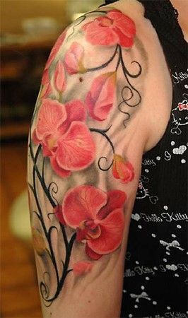 sự rạng ngời của hoa lan làm nổi bật bắp tay của bạn sự rạng ngời của hoa lan làm nổi bật bắp tay của bạn