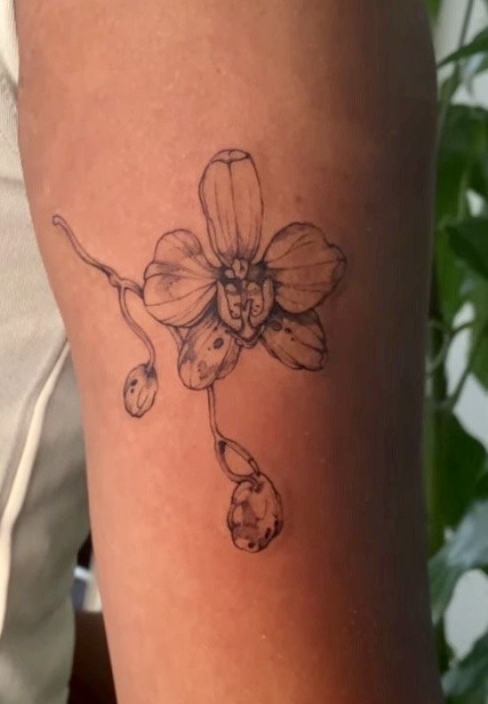 hình tattoo hoa lan siêu xinh hình tattoo hoa lan siêu xinh