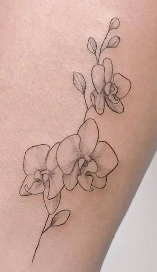 hình xăm cánh hoa lan tinh tế và mảnh mai hình xăm cánh hoa lan tinh tế và mảnh mai