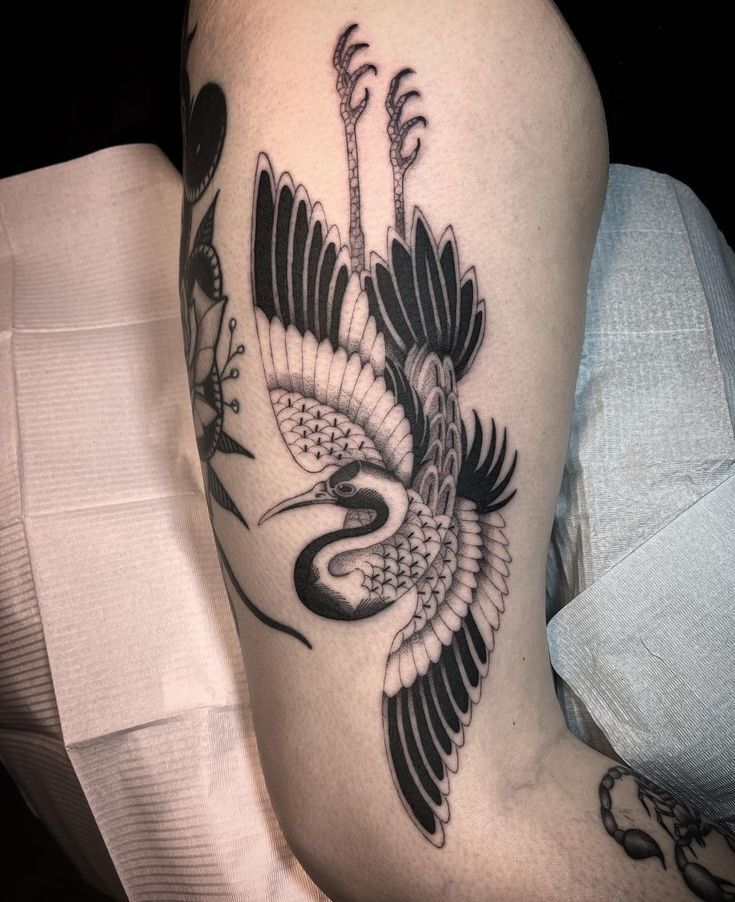 mẫu tattoo con hạc nghệ thuật cực đẹp mẫu tattoo con hạc nghệ thuật cực đẹp