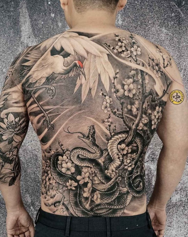 tattoo trận chiến của hạc và rắn cực chất tattoo trận chiến của hạc và rắn cực chất