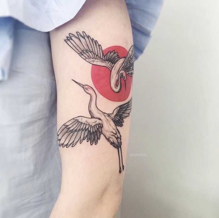 hình tattoo con hạc siêu đẹp ở tay hình tattoo con hạc siêu đẹp ở tay