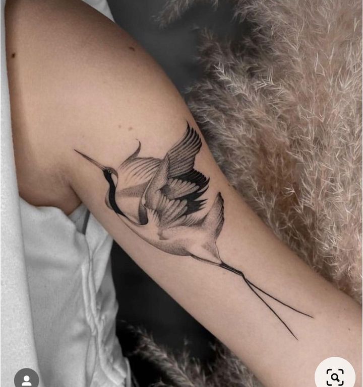 tattoo con hạc ở bắp tay tattoo con hạc ở bắp tay