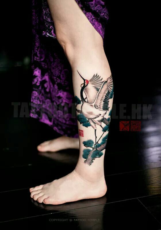 kiểu tattoo con hạc ở cẳng chân kiểu tattoo con hạc ở cẳng chân