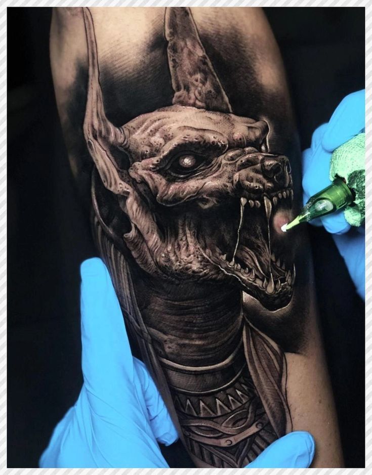 hình xăm anubis hung tợn cho nam hình xăm anubis hung tợn cho nam
