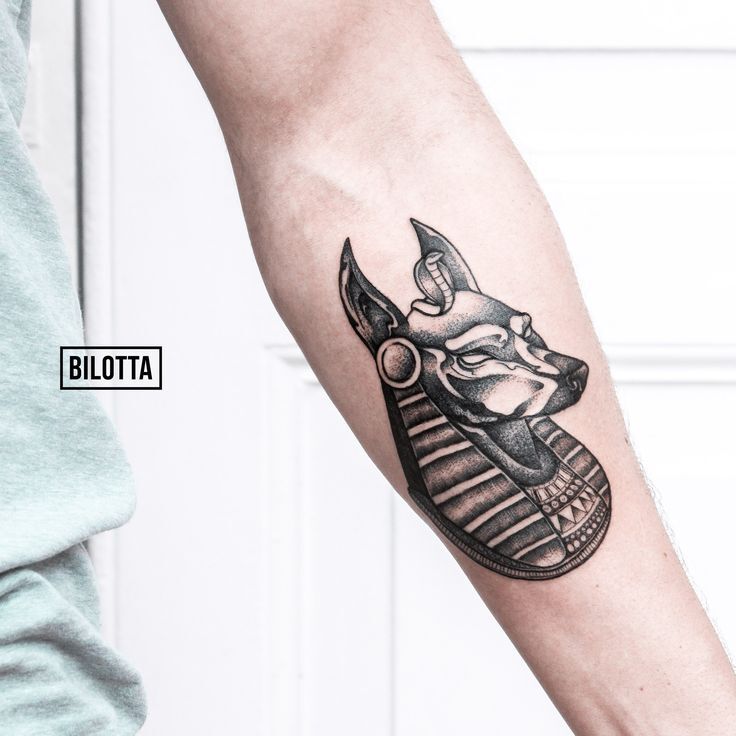 hình xăm anubis nhỏ ở cánh tay hình xăm anubis nhỏ ở cánh tay