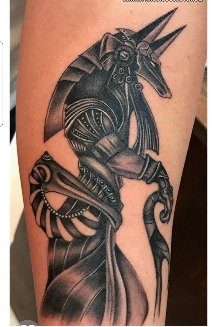 hình xăm anubis thể hiện quyền uy hình xăm anubis thể hiện quyền uy