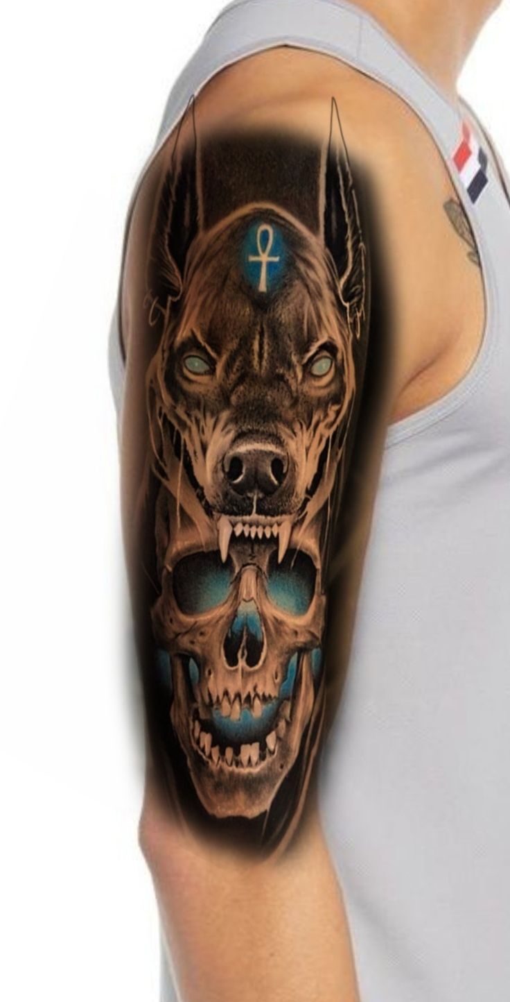 hình xăm anubis cùng đầu lâu hình xăm anubis cùng đầu lâu