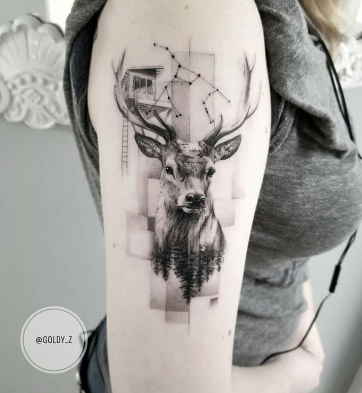 hình tattoo con hươu với vẻ đẹp siêu thực hình tattoo con hươu với vẻ đẹp siêu thực