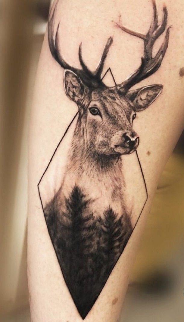 mẫu tattoo con hươu đem lại tài lộc mẫu tattoo con hươu đem lại tài lộc