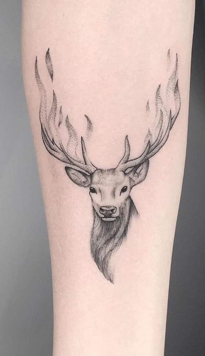 tác phẩm tattoo cẳng tay kiểu xăm hươu tác phẩm tattoo cẳng tay kiểu xăm hươu