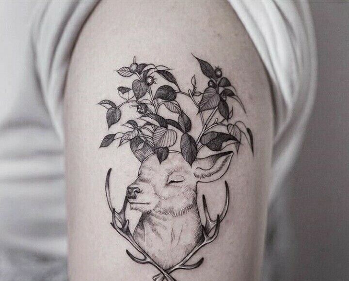 tattoo bắp tay mẫu xăm con hươu tattoo bắp tay mẫu xăm con hươu