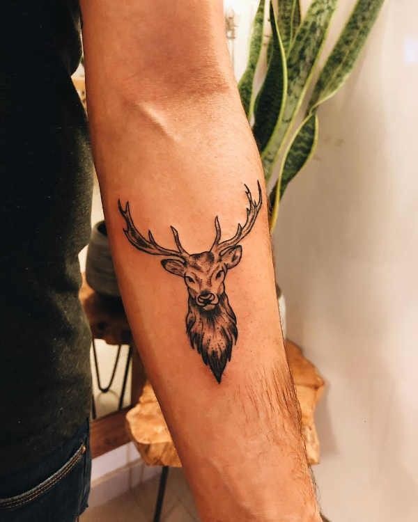 tattoo hươu gắn liền sự sung túc thịnh vượng tattoo hươu gắn liền sự sung túc thịnh vượng