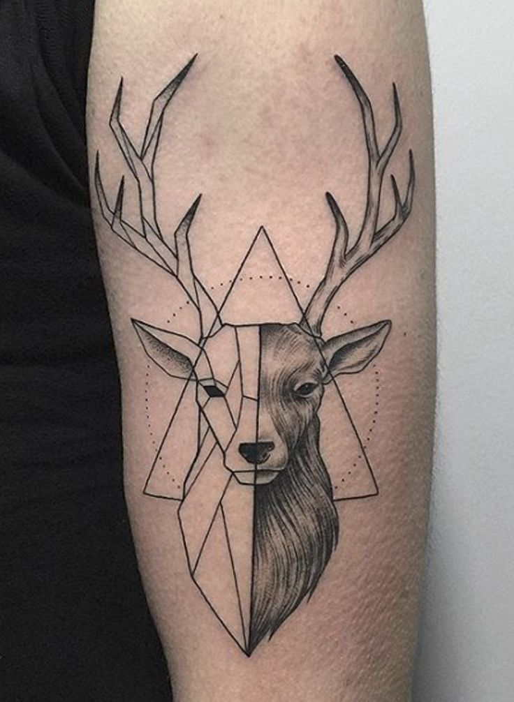 thể hiện sự khiêm nhường với mẫu tattoo hươu thể hiện sự khiêm nhường với mẫu tattoo hươu