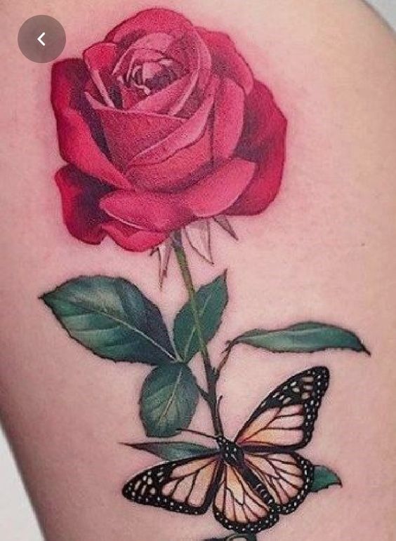 hình xăm hoa hồng đỏ và con bướm đẹp hình xăm hoa hồng đỏ và cánh bướm tuyệt đẹp