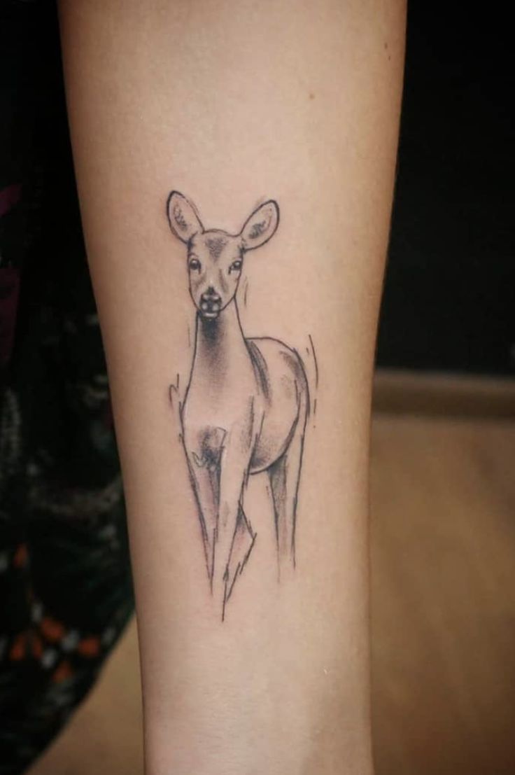 Top 666+ hình xăm con nai đầy tinh tế và thu hút - Genztattoo