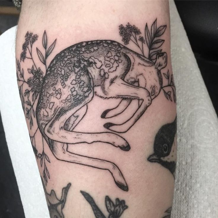Top 666+ hình xăm con nai đầy tinh tế và thu hút - Genztattoo