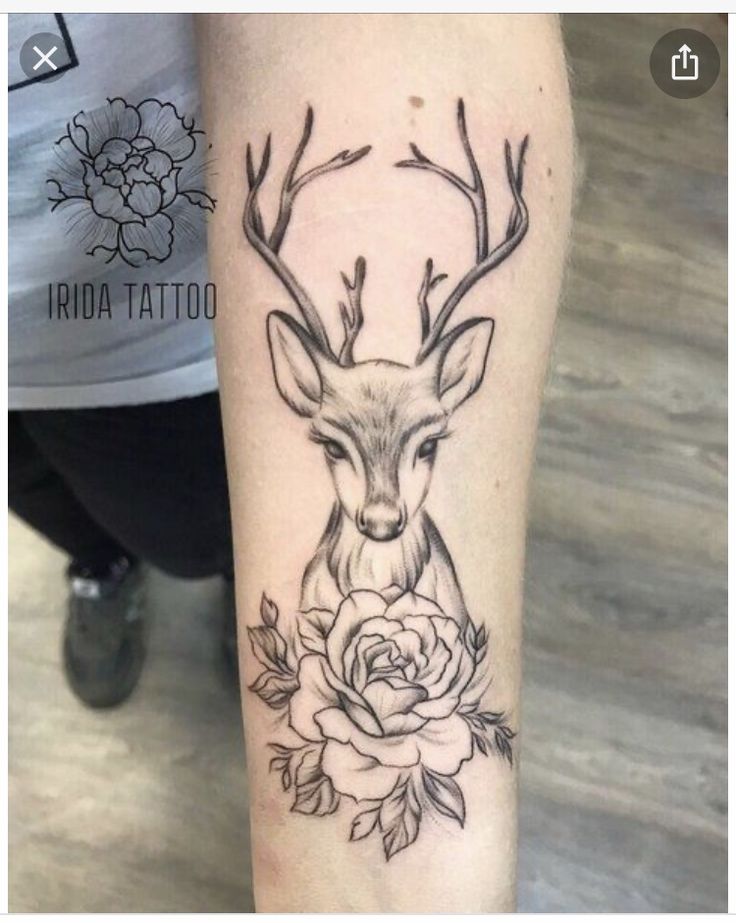 Top 666+ hình xăm con nai đầy tinh tế và thu hút - Genztattoo