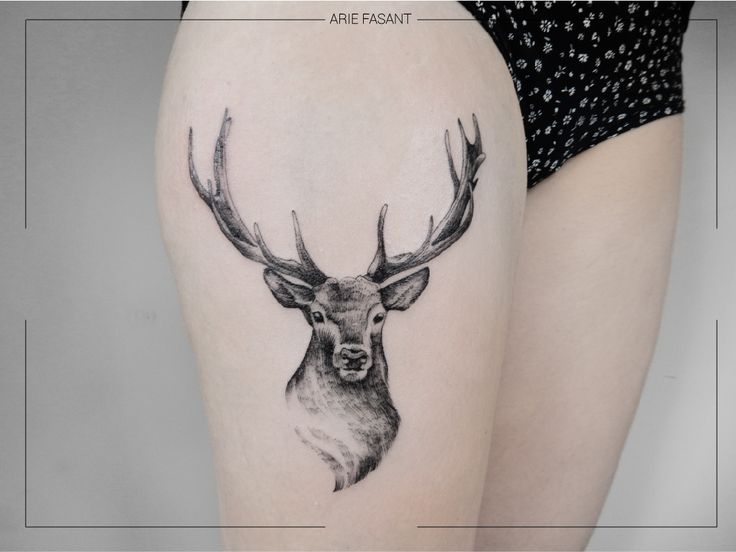 Top 666+ hình xăm con nai đầy tinh tế và thu hút - Genztattoo