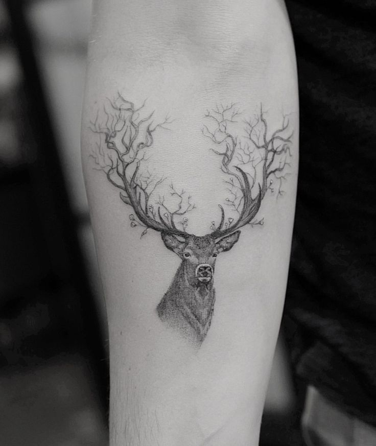 Top 666+ hình xăm con nai đầy tinh tế và thu hút - Genztattoo