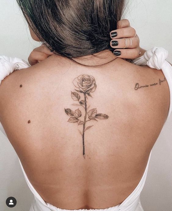 Tattoo đơn giản nhẹ nhàng hình hoa hồng cho nữ