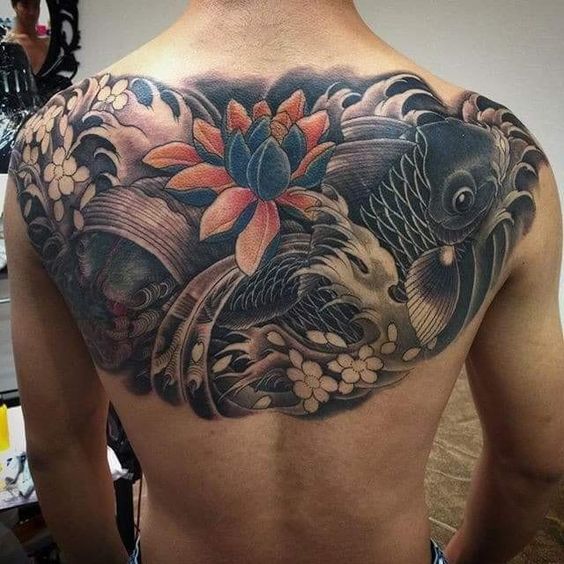 hình xăm cá chép đen kín nửa lưng trên kết hợp hoa sen hình xăm cá chép đen kín nửa lưng trên kết hợp hoa sen