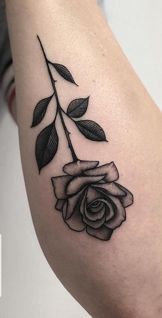 Top 999+ hình xăm hoa hồng độc đáo, ý nghĩa - Genztattoo