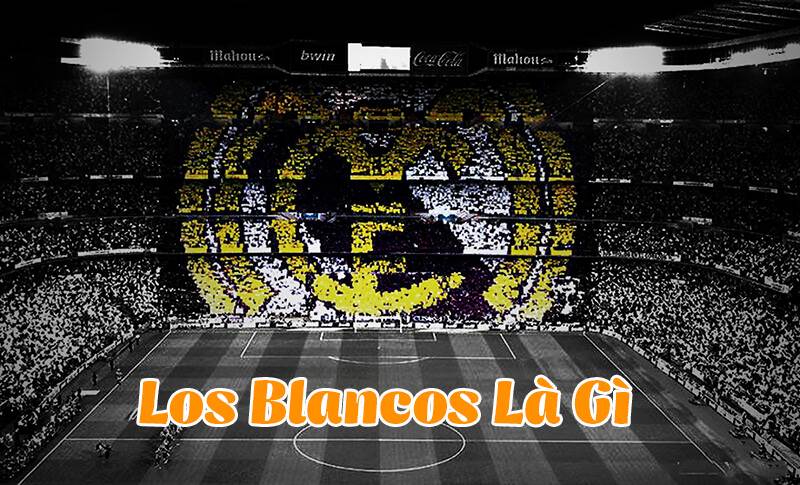 Los Blancos Là Gì? Ý Nghĩa Cụ Thể Của Biệt Danh Này