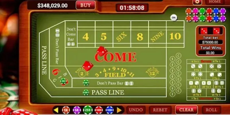 Các loại cược chính và phụ trong craps