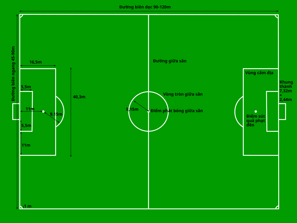 Football pitch là gì và những điều cần biết về sân bóng đá 5 người - selkirkfc