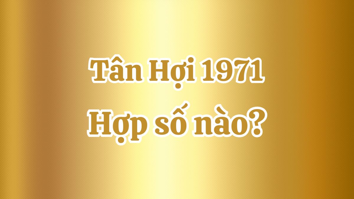 Tân Hợi 1971 hợp số nào? Số may mắn với tuổi 1971