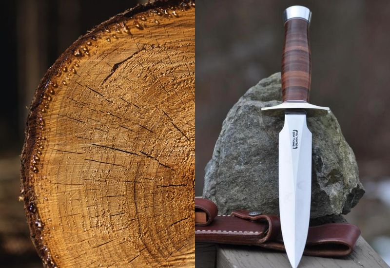 1973 hợp số nào? Nam, nữ Quý Sửu hợp số chẵn hay lẻ?